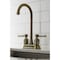 Kingston Brass KB8493DKL Bar Faucet, Antique Brass KB8493DKL - alternate 4